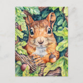 Kleines Eichhörnchen im Eichenbaum Postkarte (Vorderseite)