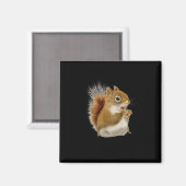 Kleines Eichhörnchen isst seine Nüsse Magnet (Vorderseite/Rückseite)
