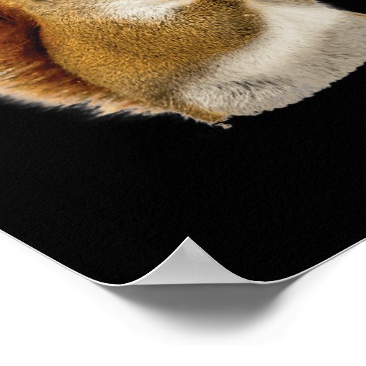 Kleines Eichhörnchen isst seine Nüsse Poster (Ecke)