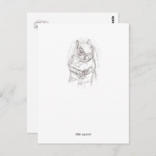 Kleines Eichhörnchen Postkarte (Vorne/Hinten)