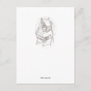 Kleines Eichhörnchen Postkarte