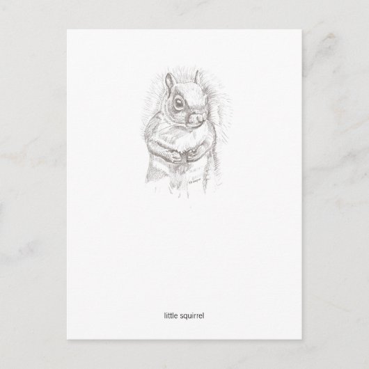 Kleines Eichhörnchen Postkarte (Vorderseite)