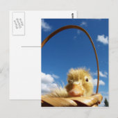 Kleines Enkeln Postkarte (Vorne/Hinten)