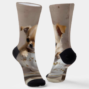 Kleines Entzücken: Chihuahua-Welpe in einer Teetas Socken
