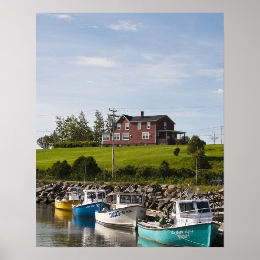 Kleines Fischerdorf in der Nähe von Grande-Riviere Poster (Vorne)