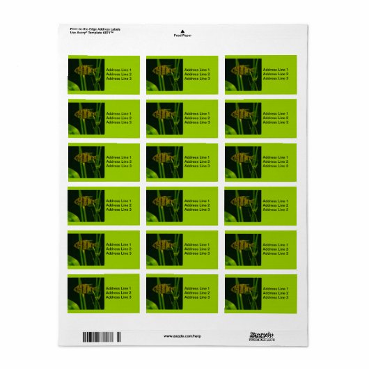 Kleines Fischzeichen Adressaufkleber (Vorne)