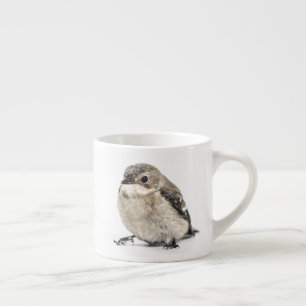 Kleines Gartenvogel-Foto Espressotasse