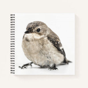 Kleines Gartenvogel-Foto Notizblock