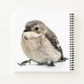 Kleines Gartenvogel-Foto Notizblock (Rückseite)