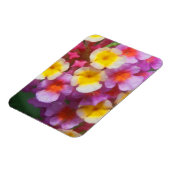 Kleines Gelbpinke und Lila tropische Blume Magnet (Linke Seite)