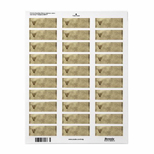 Kleines Gothic-Gargoyle-Apothekenlabel (Vorne)