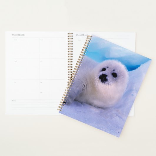 Kleines Harp Siegel in Schneeflocken überzogen Planer (Anzeige)