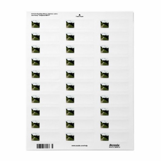 "Kleines Haus. Riesiger Yard." RV-Rücksendeadresse (Vorne)