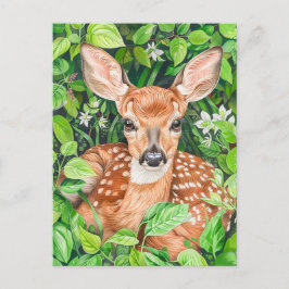 Kleines Hirsch auf der grünen Wiese Postkarte