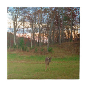 Kleines Hirsch und rosa Sonnenuntergang Fliese