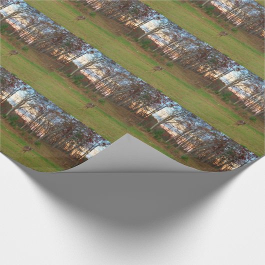 Kleines Hirsch und rosa Sonnenuntergang Geschenkpapier (Ecke)