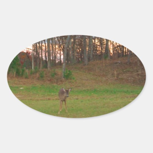 Kleines Hirsch und rosa Sonnenuntergang Ovaler Aufkleber (Vorderseite)