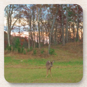 Kleines Hirsch und rosa Sonnenuntergang Untersetzer