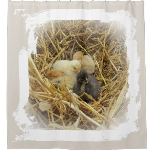 kleines Huhn Duschvorhang (Vorderseite)