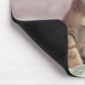 Kleines Ingwer-Kätzchen Mousepad (Ecke)