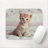 Kleines Ingwer-Kätzchen Mousepad (Mit Mouse)