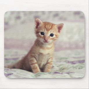 Kleines Ingwer-Kätzchen Mousepad