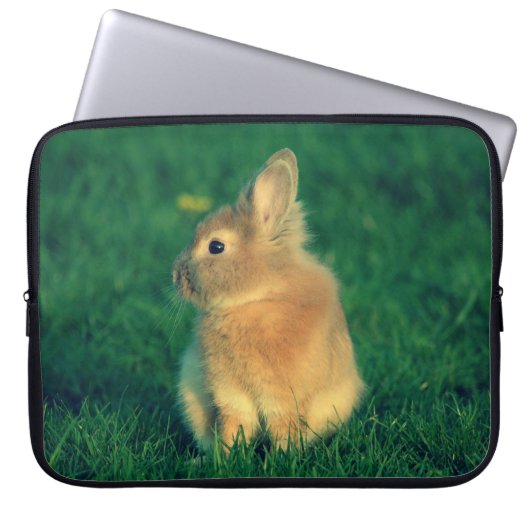 Kleines Kaninchen Laptopschutzhülle (Vorderseite)