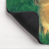 Kleines Kaninchen Mousepad (Ecke)