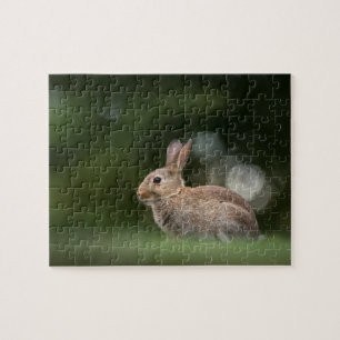 Kleines Kaninchen Naturfoto Puzzle