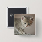 Kleines Kätzchen Button (Vorne & Hinten)