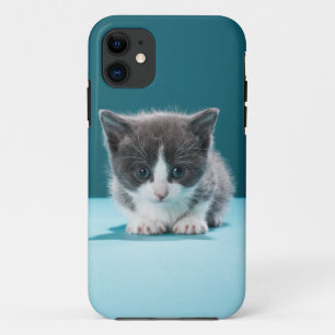 Kleines Kätzchen Case-Mate iPhone Hülle