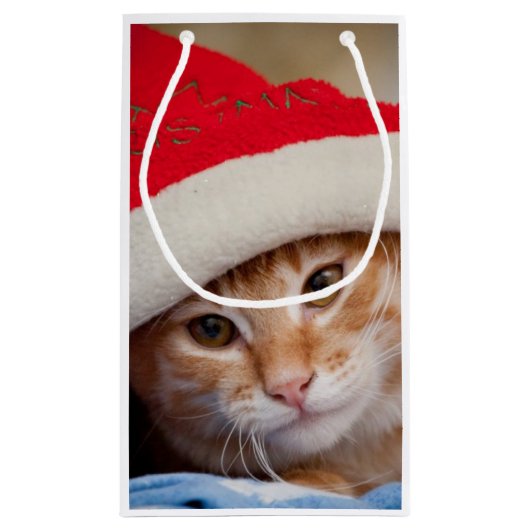 Kleines Kätzchen im roten Weihnachtshut Kleine Geschenktüte (Rückseite)
