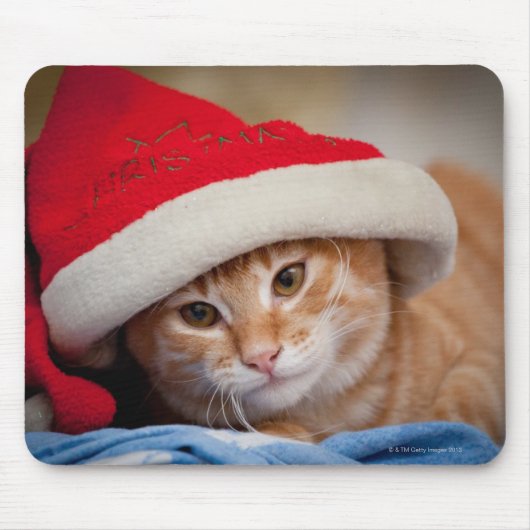 Kleines Kätzchen im roten Weihnachtshut Mousepad (Vorne)
