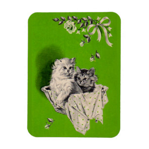 Kleines Kätzchen Magnet