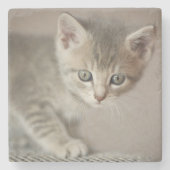 Kleines Kätzchen Steinuntersetzer (Vorderseite)