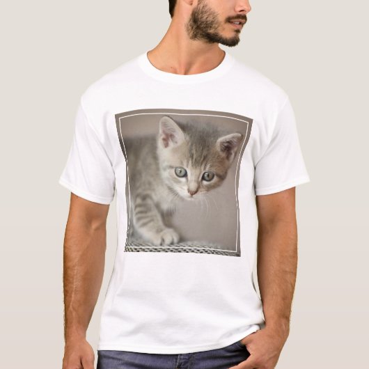 Kleines Kätzchen T-Shirt (Vorderseite)