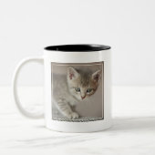 Kleines Kätzchen Zweifarbige Tasse (Links)