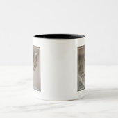Kleines Kätzchen Zweifarbige Tasse (Mittel)