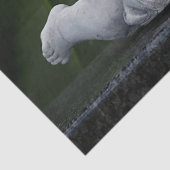 kleines Kirchentuch Seidenpapier (Detail)