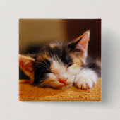 Kleines Kitty Schlafen Button (Vorderseite)
