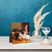 Kleines Kitty Schlafen Fotoplatte (InSitu)