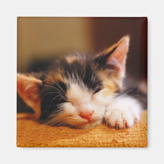 Kleines Kitty Schlafen Magnet (Vorne)