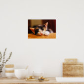 Kleines Kitty Schlafen Poster (Küche)
