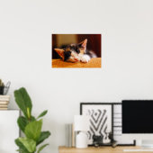 Kleines Kitty Schlafen Poster (Heimbüro)