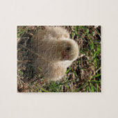 kleines Küken, Bauernhof Puzzle (Horizontal)