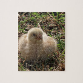 kleines Küken, Bauernhof Puzzle