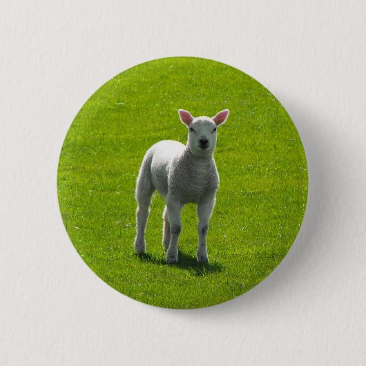 Kleines Lamm Button (Vorderseite)