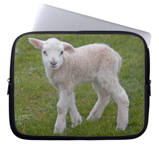 Kleines Lamm-Laptop-Sieb Laptopschutzhülle (Vorderseite)