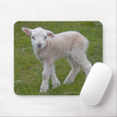 Kleines Lamm Mousemat Mousepad (Mit Mouse)