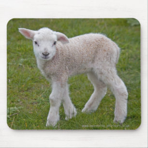 Kleines Lamm Mousemat Mousepad